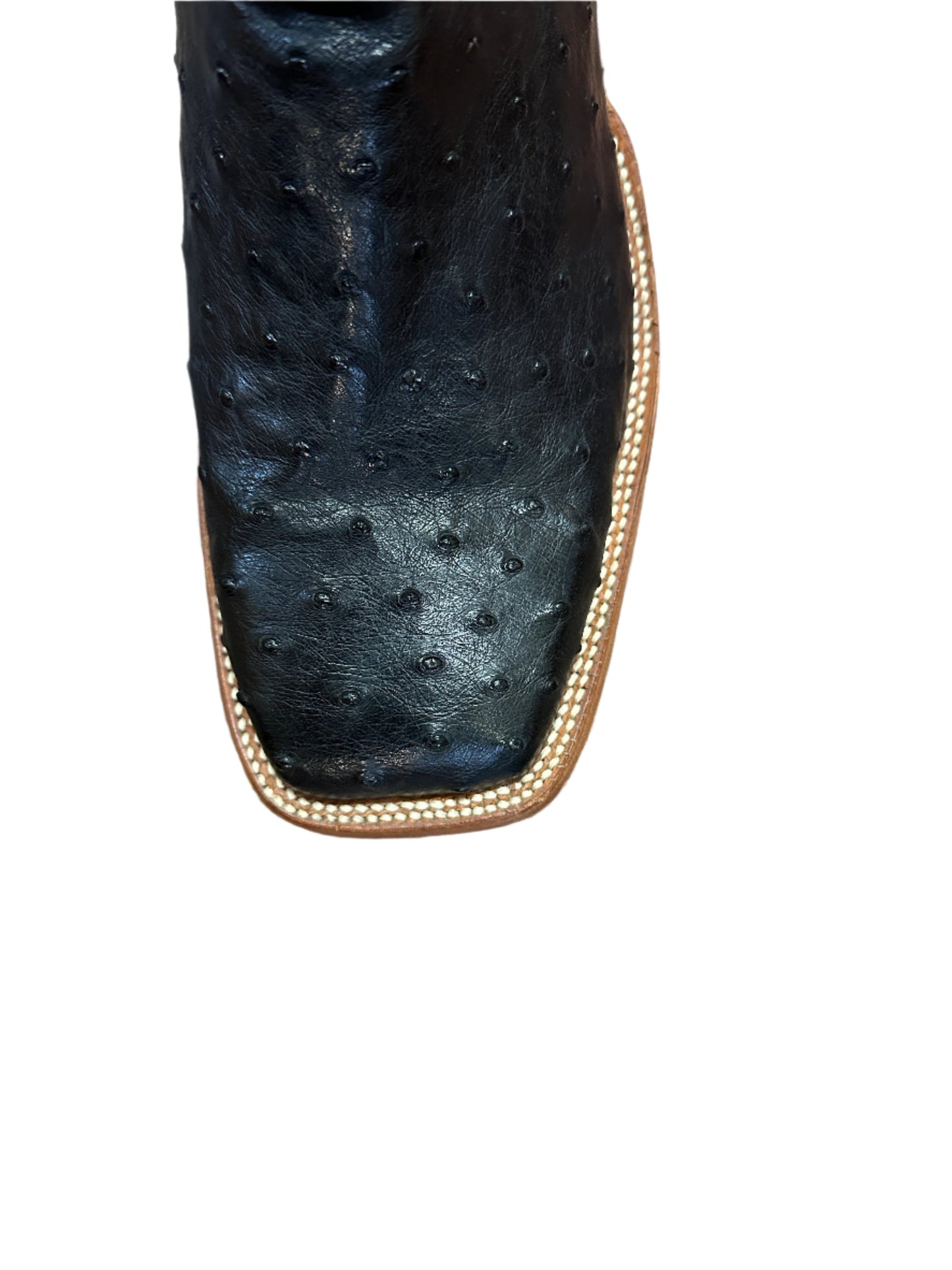 Cinch Men's Boots - Black Full Quill Ostrich Square Toe with Turquoise Top