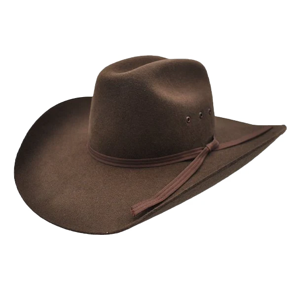 Twister Children's Felt Brown Cowboy Hat