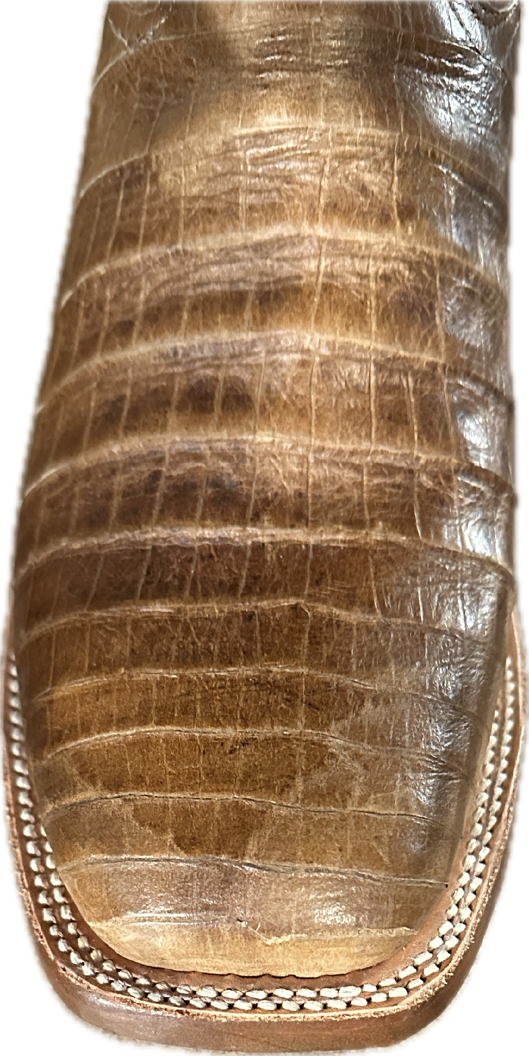 Tanner Mark Women's Brown Gator Print Square Toe Boots
