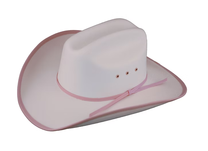 Lone Star Youth Rosamund Cheyenne with Pink Bound Edge Hat