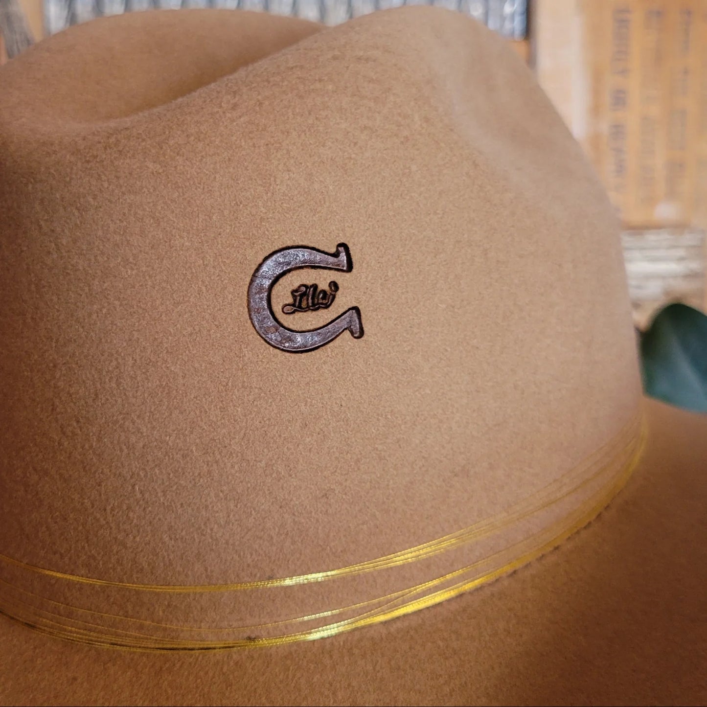 Charlie 1 Horse Lainey Wilson Fawn Wool Hat "Keep On Strumming"