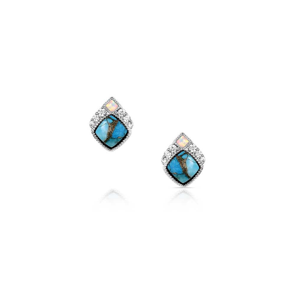 Montana Silversmith Crowned Glacier Earrings